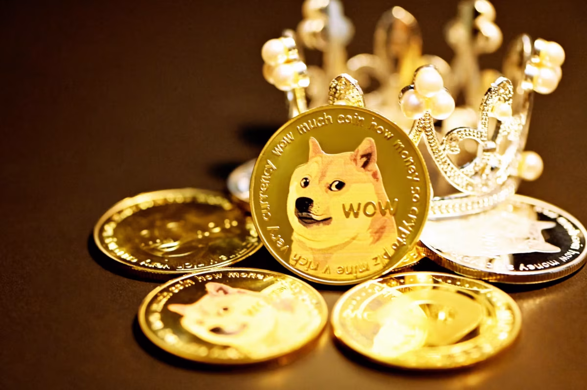 dogecoin-future
